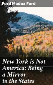 New York is Not America: Being a Mirror to the States