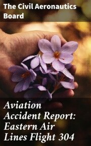 Aviation Accident Report: Eastern Air Lines Flight 304