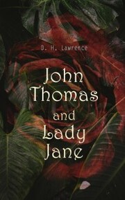 John Thomas and Lady Jane - Cover