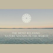 The Most Relaxing Nature Sounds In The World - Cover
