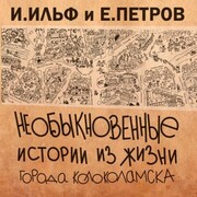 Neobyknovennye istorii iz zhizni goroda Kolokolamska - Cover