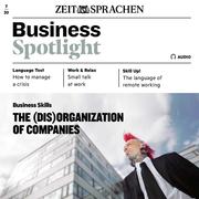 Business-Englisch lernen Audio - The (dis)organization of companies - Cover