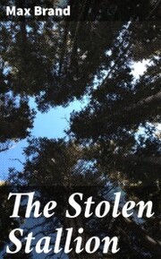 The Stolen Stallion - Cover