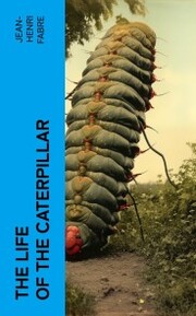 The Life of the Caterpillar - Cover