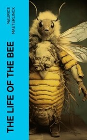 The Life of the Bee - Cover