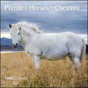 Pferde, Horses, Chevaux 2021