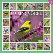 365 Singvögel 2021 - Cover