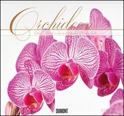 Orchideen 2023
