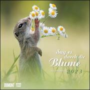 Sag es durch die Blume 2023 - Hamster, Eichhörnchen, Zwiesel in Nahaufnahme - Wandkalender mit Spiralbindung - DUMONT Quadratformat 24 x 24 cm