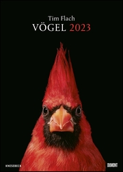 Vögel 2023 - Cover
