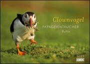 Clownvogel Papageientaucher 2023