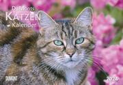 DUMONTS Katzenkalender 2024 - Cover
