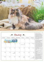 DUMONTS Katzenkalender 2024 - Abbildung 3