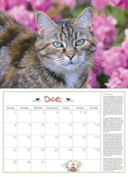 DUMONTS Katzenkalender 2024 - Abbildung 7