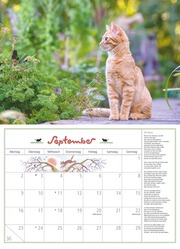 DUMONTS Katzenkalender 2024 - Abbildung 9