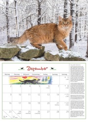 DUMONTS Katzenkalender 2024 - Abbildung 12