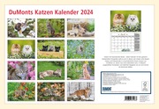 DUMONTS Katzenkalender 2024 - Abbildung 13