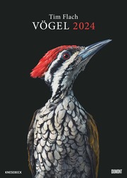 Vögel 2024 - Cover