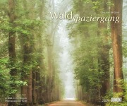 Waldspaziergang 2024 - Cover