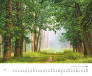 Waldspaziergang 2024 - Abbildung 6
