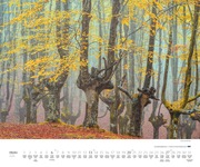 Waldspaziergang 2024 - Abbildung 10
