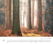 Waldspaziergang 2024 - Abbildung 11