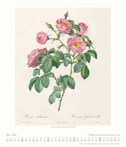 Dumonts Botanisches Kabinett - Rosen 2024 - Abbildung 5