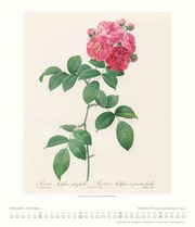 Dumonts Botanisches Kabinett - Rosen 2024 - Abbildung 10