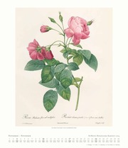 Dumonts Botanisches Kabinett - Rosen 2024 - Abbildung 11
