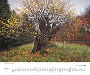 Bäume 2024 - Abbildung 11