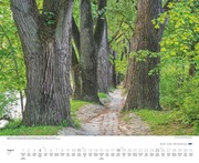 Bäume - Alleen 2024 - Abbildung 8