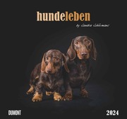 Hundeleben 2024 - Cover