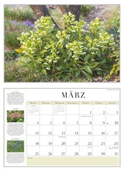 Garten-Kalender 2024 - Abbildung 3