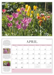 Garten-Kalender 2024 - Abbildung 4