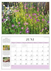 Garten-Kalender 2024 - Abbildung 6