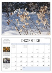 Garten-Kalender 2024 - Abbildung 12