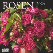 Rosen 2024 - Cover