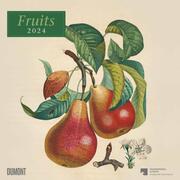 Fruits 2024