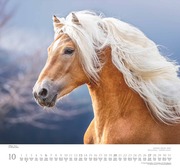 ... geliebte Pferde 2024 - Abbildung 10