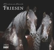Friesen 2024 - Cover