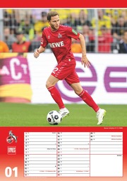 1. FC Köln 2024 - Illustrationen 1