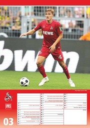 1. FC Köln 2024 - Illustrationen 3