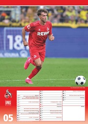 1. FC Köln 2024 - Illustrationen 5