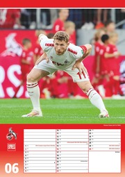 1. FC Köln 2024 - Illustrationen 6