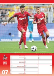 1. FC Köln 2024 - Illustrationen 7