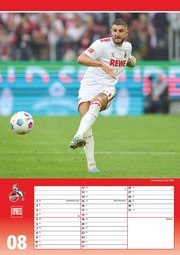 1. FC Köln 2024 - Illustrationen 8