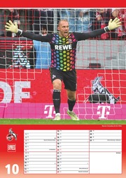 1. FC Köln 2024 - Illustrationen 10
