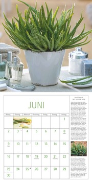 DuMonts Kräuter-Kalender 2025 - Broschürenkalender - mit Texten und Rezepten - Format 30 x 30 cm - Illustrationen 6