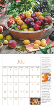 DuMonts Kräuter-Kalender 2025 - Broschürenkalender - mit Texten und Rezepten - Format 30 x 30 cm - Illustrationen 7