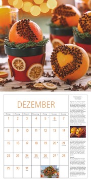 DuMonts Kräuter-Kalender 2025 - Broschürenkalender - mit Texten und Rezepten - Format 30 x 30 cm - Illustrationen 12